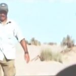 George Clooney "The Men Who Stare at Goats" Movie