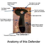 Anatomy of a defender 1